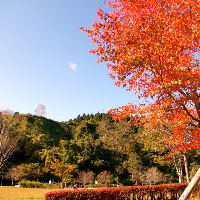 岩出山城跡の写真