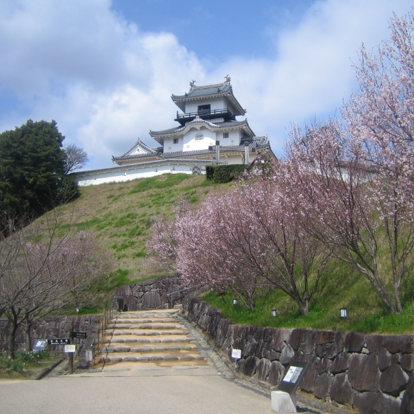 掛川城の写真