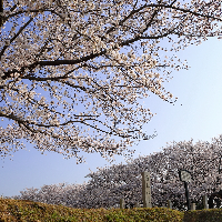 沓掛城跡