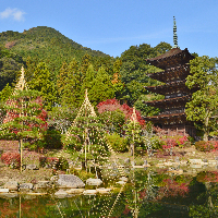 瑠璃光寺