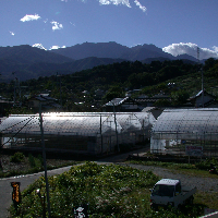 新府城跡