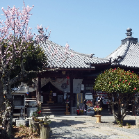 出釈迦寺の写真