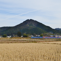 八上城跡の写真