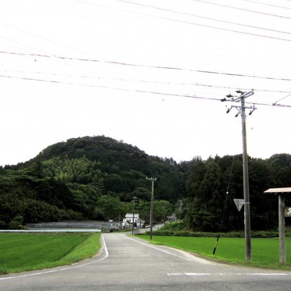 高天神城の写真