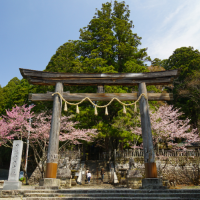 戸隠神社の写真