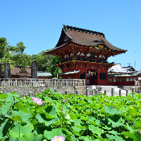 伊賀八幡宮の写真
