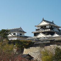 松山城の写真
