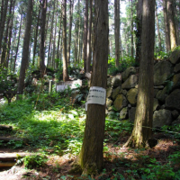 烏山城跡の写真