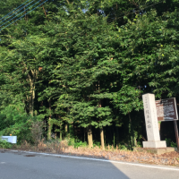 榎本城の写真
