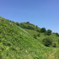 皆川城の写真