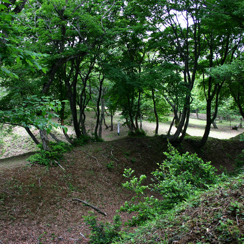 玄蕃尾城跡（福井県敦賀市）の写真・外観