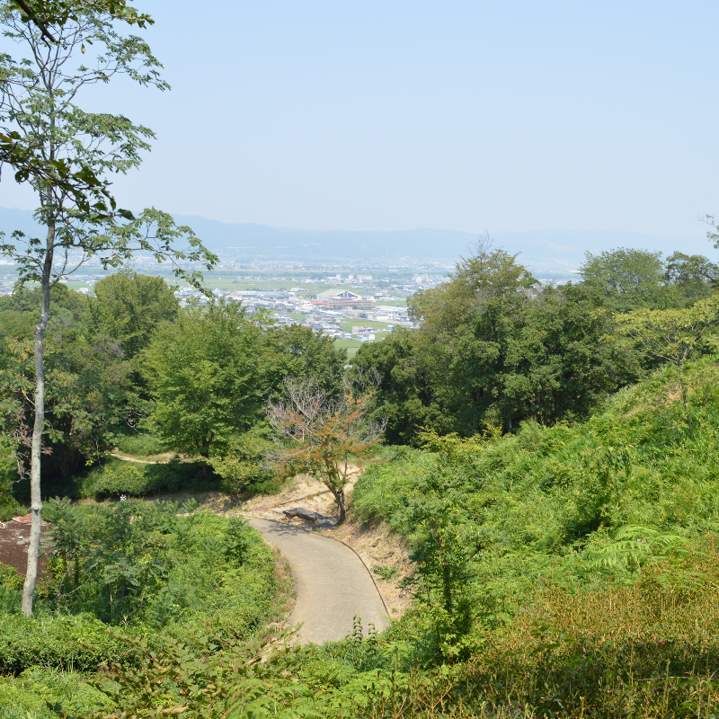 岩橋千塚古墳群（和歌山県和歌山市）の写真・外観