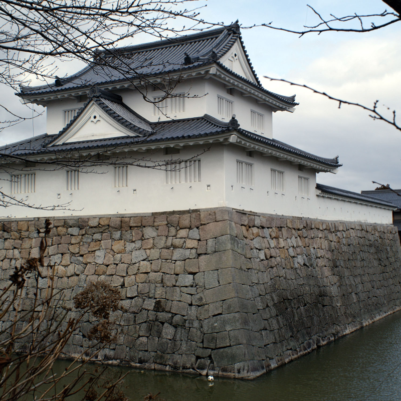 水口城跡（滋賀県甲賀市）の写真・外観