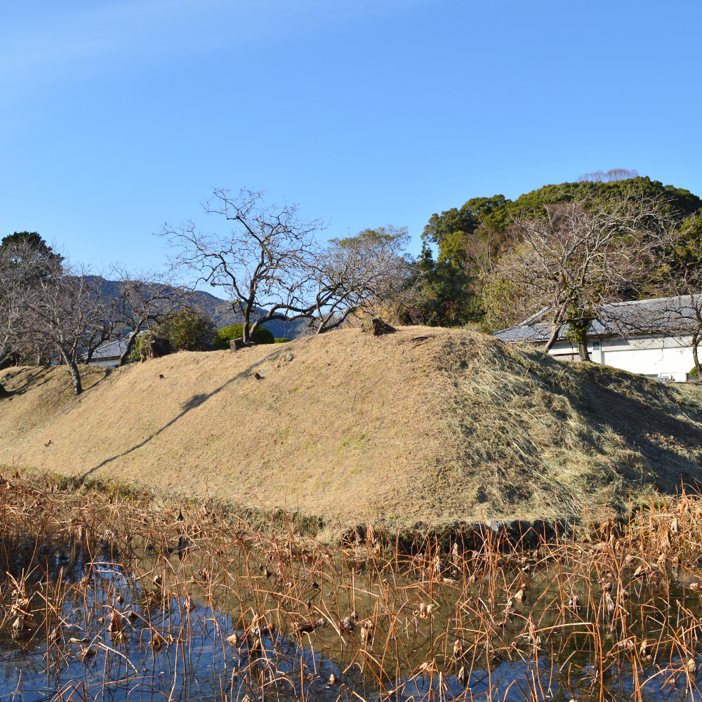 安芸城跡(高知県安芸市)の写真・外観