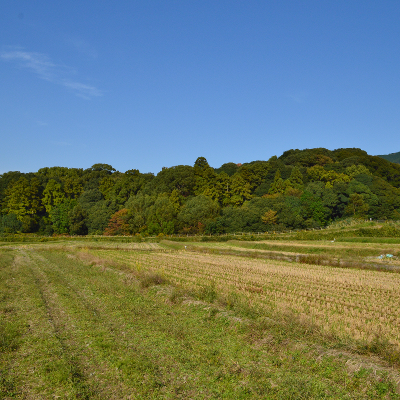 行燈山古墳（奈良県天理市）の写真・外観