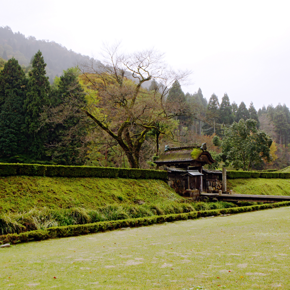 一乗谷城跡（福井県福井市）の写真・外観