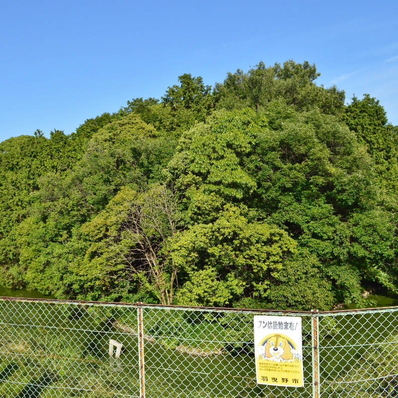ボケ山古墳（大阪府藤井寺市）の写真・外観