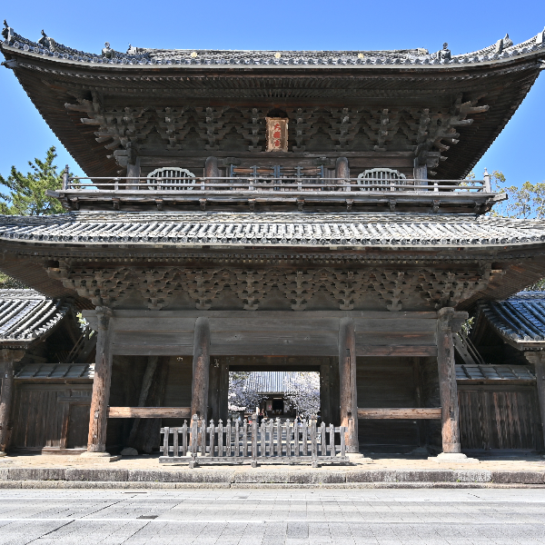 大樹寺(愛知県岡崎市)の写真・外観