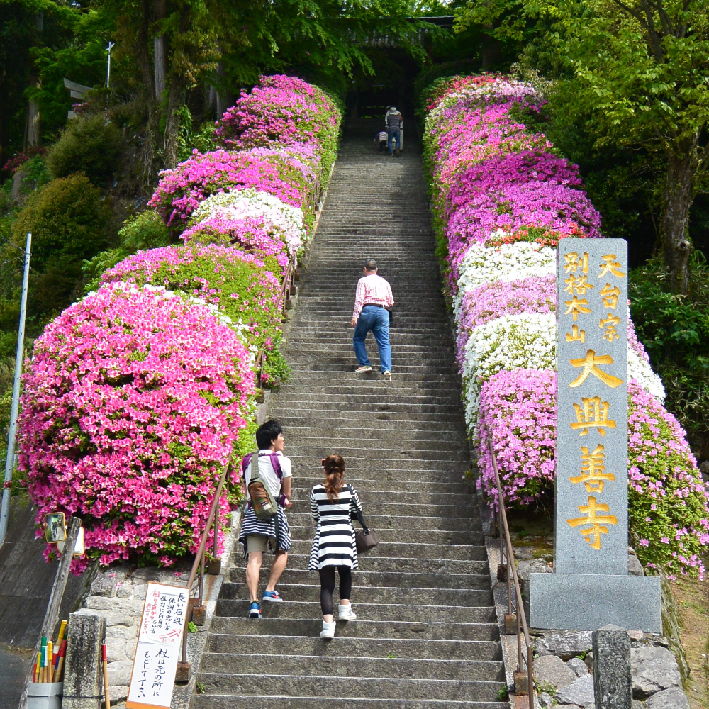 大興善寺(佐賀県基山町)の写真・外観