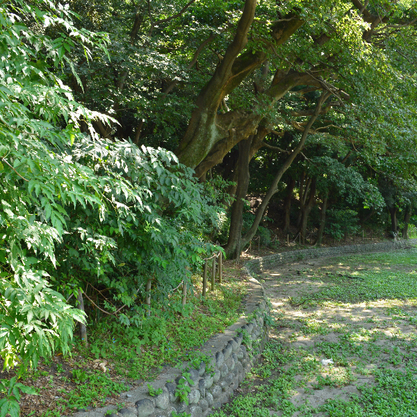 断夫山古墳（愛知県名古屋市）の写真・外観