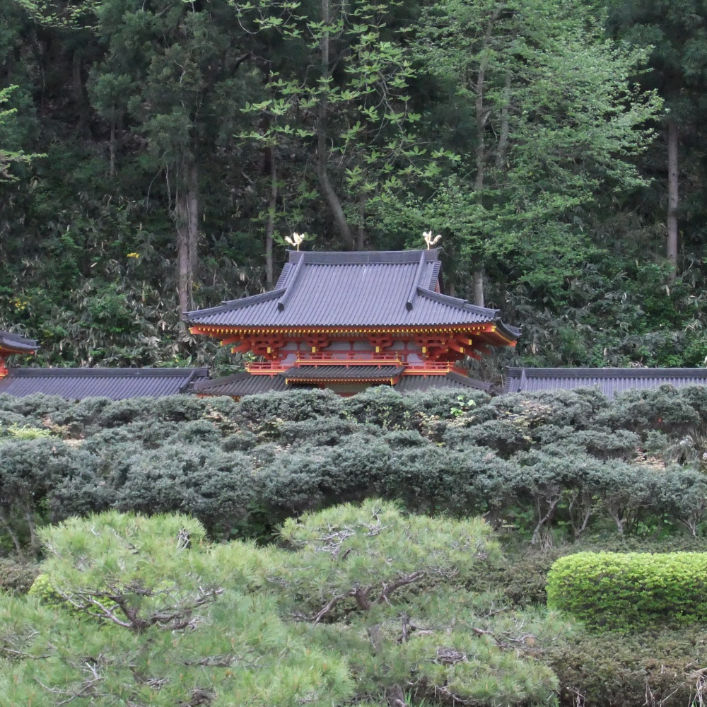 無量光院跡(岩手県平泉町)の写真・外観