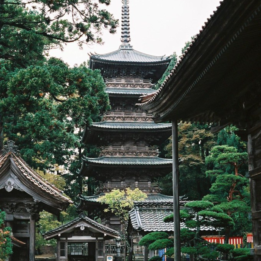 龍澤山 善宝寺（曹洞宗）（山形県鶴岡市）の写真・外観