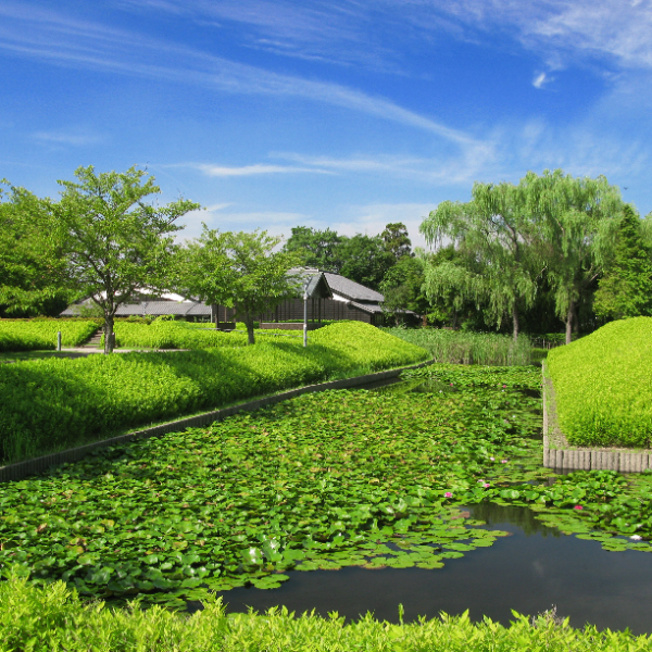 難波田城（埼玉県富士見市）の写真・外観