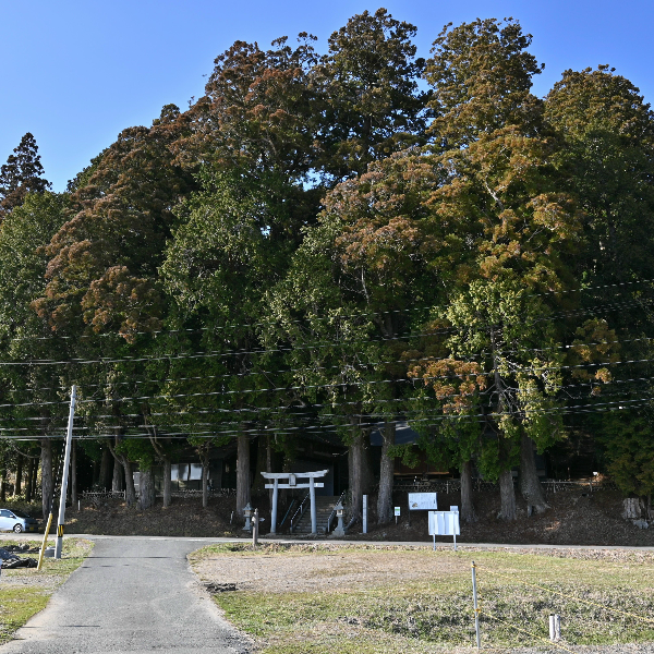 古宮城址(愛知県新城市)の写真・外観