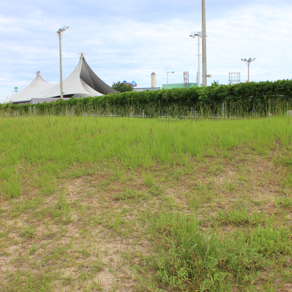 元寇防塁(脇地区)(福岡県福岡市)の写真・外観