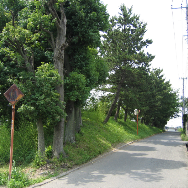 石田堤（埼玉県行田市）の写真・外観