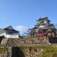 浜松城（静岡県浜松市）の写真・外観