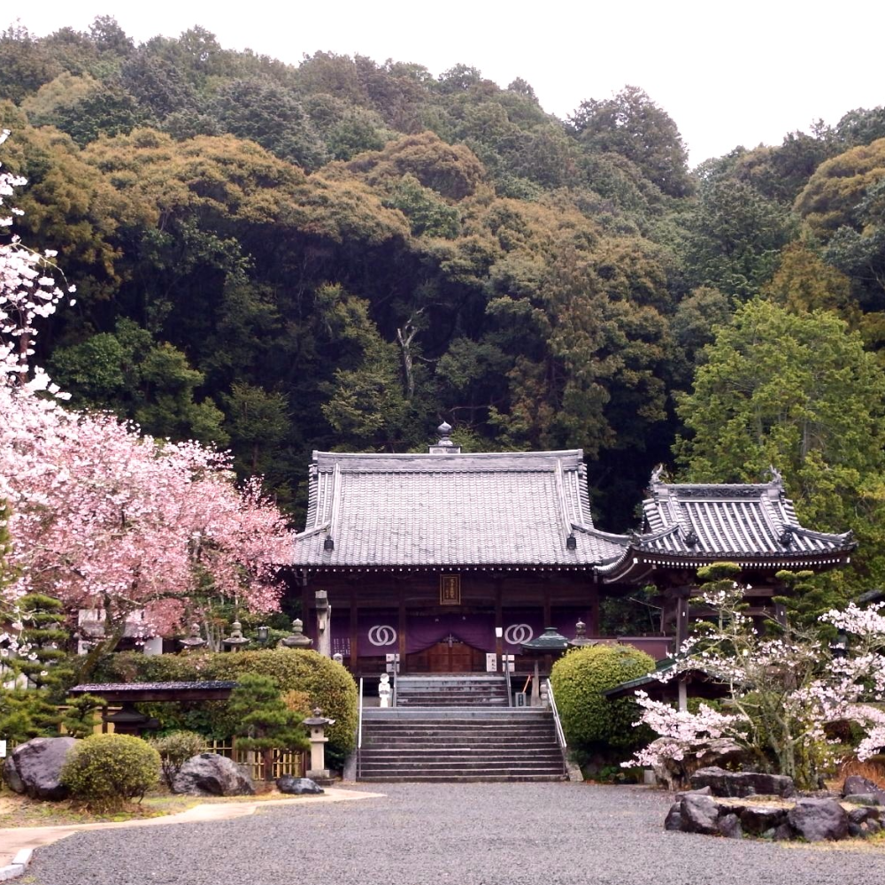 繁多寺（愛媛県松山市）の写真・外観