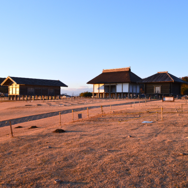 平沢官衙遺跡(茨城県つくば市)の写真・外観