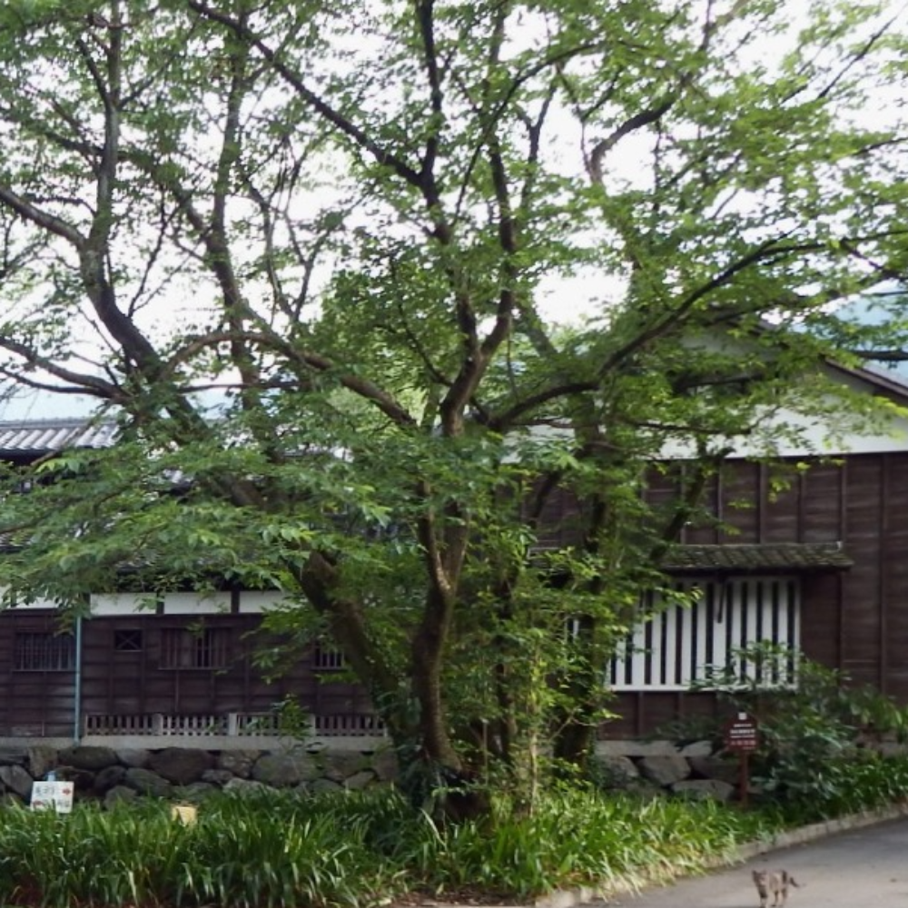 広瀬歴史記念館（愛媛県新居浜市）の写真・外観