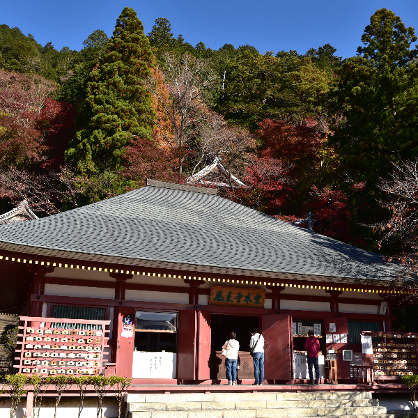 鳳来寺（愛知県新城市）の写真・外観