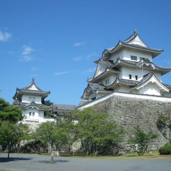 伊賀上野城(三重県伊賀市)の写真・外観