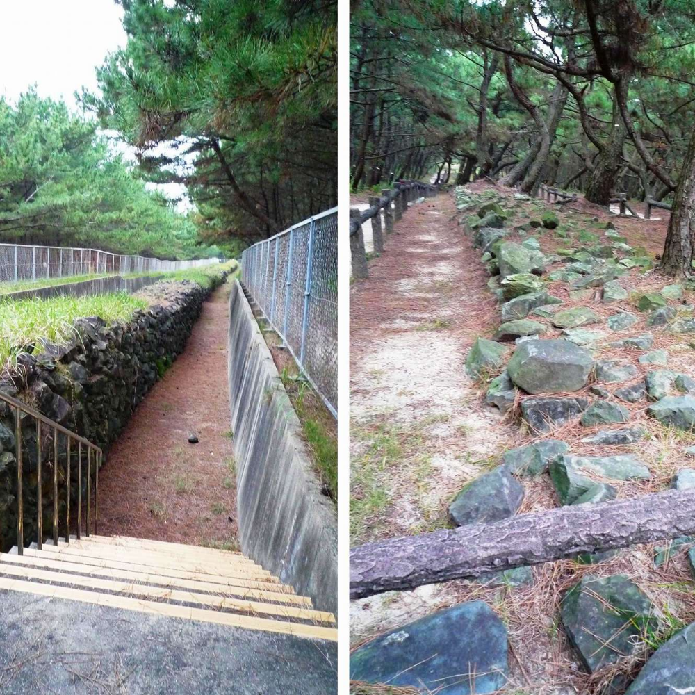 元寇防塁（今津地区）（福岡県福岡市）の写真・外観