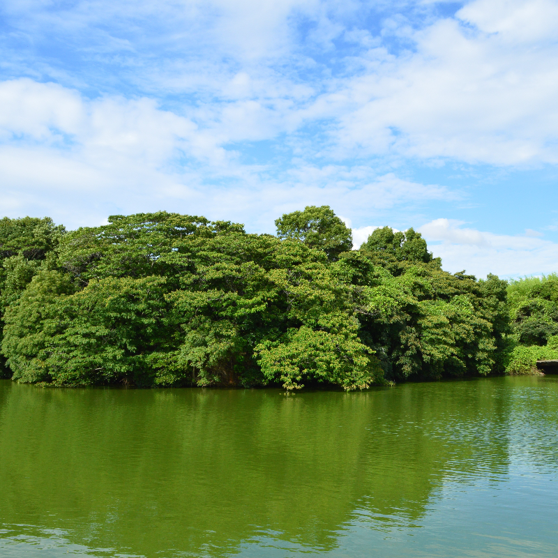 いたすけ古墳(大阪府堺市)の写真・外観