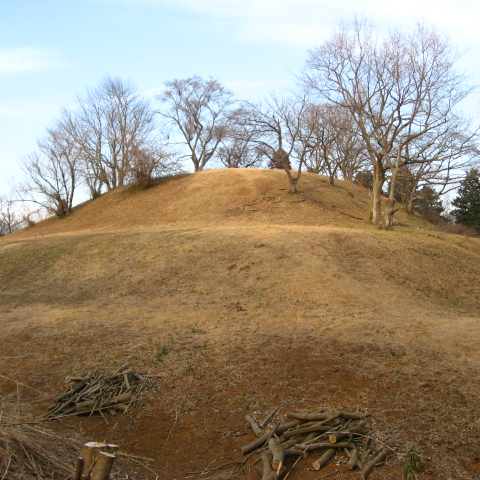 龍角寺岩屋古墳（千葉県栄町）の写真・外観