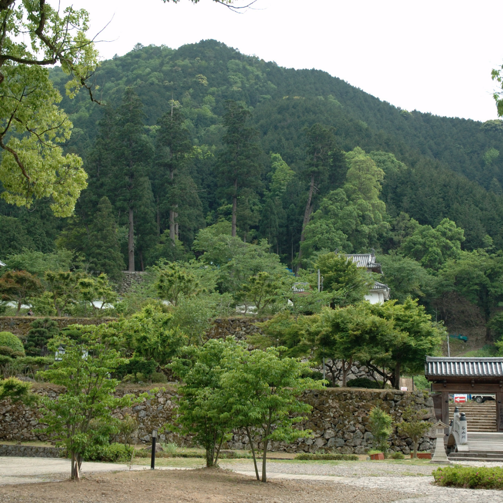出石城跡（兵庫県豊岡市）の写真・外観