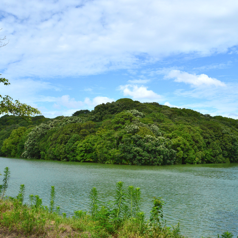 上石津ミサンザイ古墳(履中天皇 百舌鳥耳原南陵）（大阪府堺市）の写真・外観