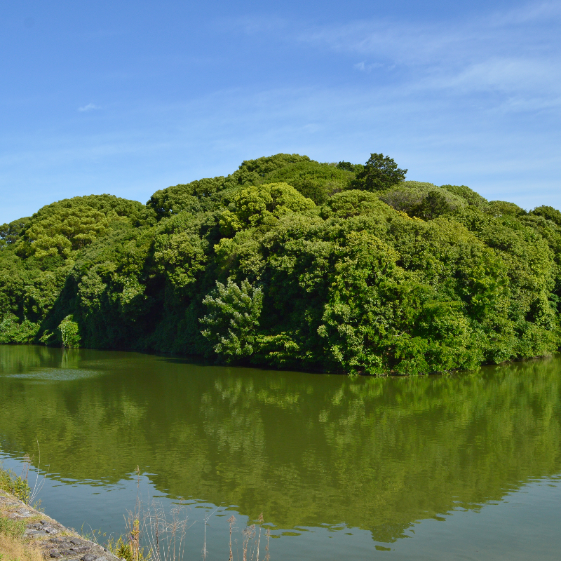 軽里大塚古墳(大阪府羽曳野市)の写真・外観