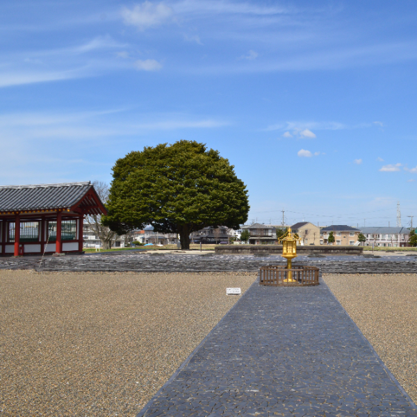 上総国分尼寺跡展示館(千葉県市原市)の写真・外観