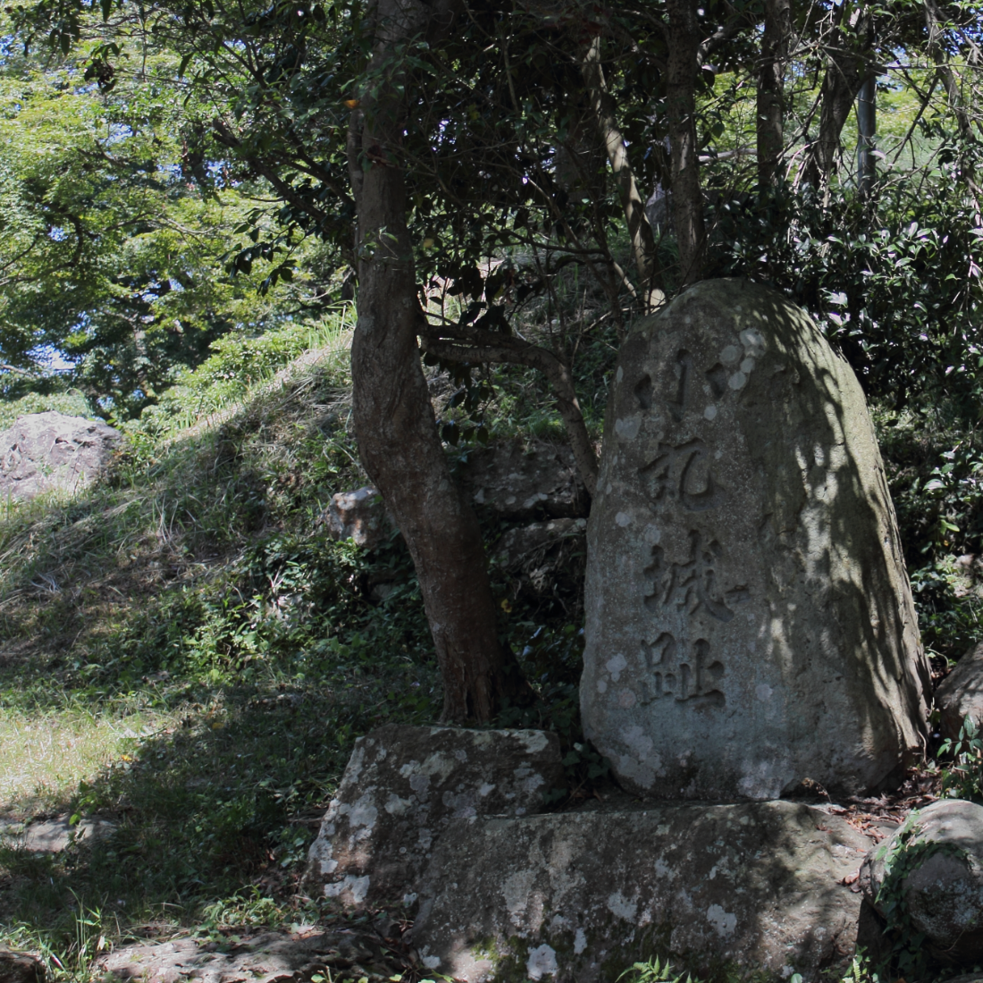小丸城（福井県越前市）の写真・外観