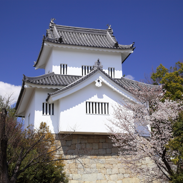挙母城跡(愛知県豊田市)の写真・外観