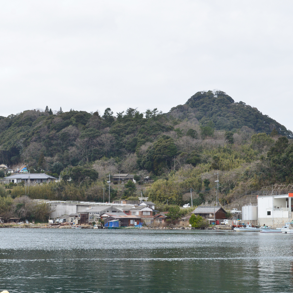 国府尾城址(島根県隠岐の島町)の写真・外観