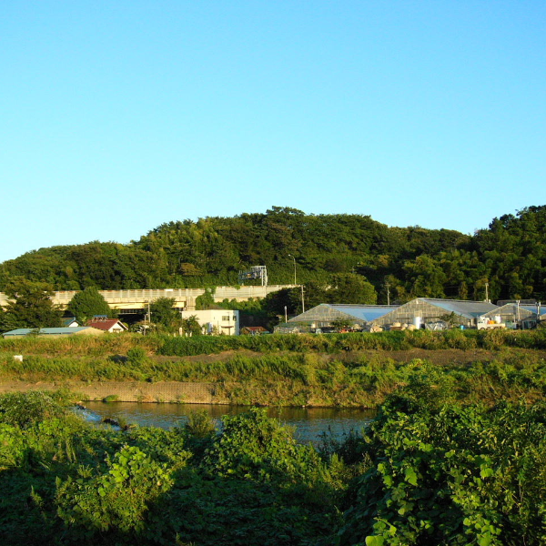 小机城（神奈川県横浜市）の写真・外観