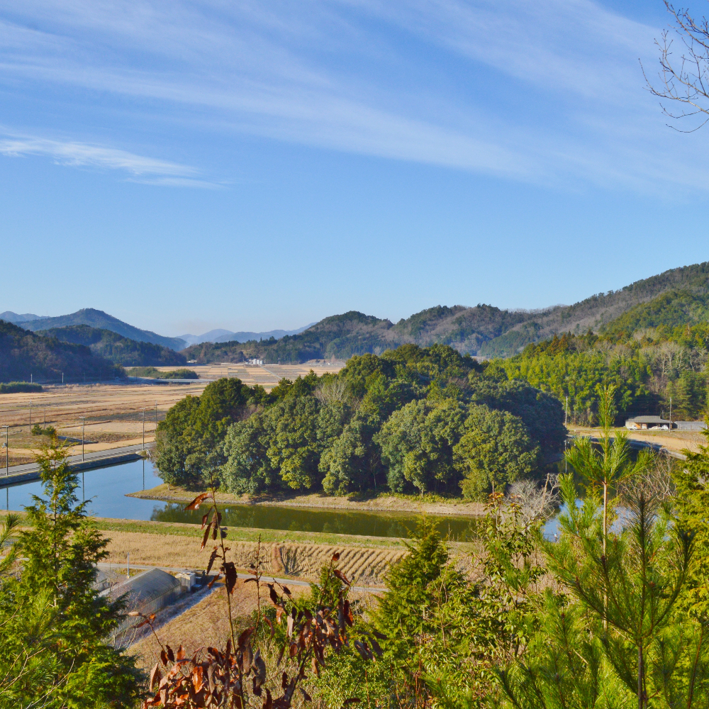 雲部車塚古墳(兵庫県丹波篠山市)の写真・外観