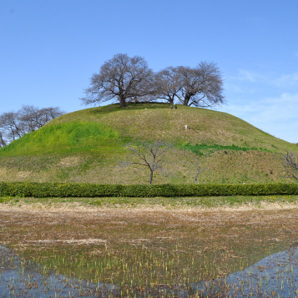 丸墓山古墳(埼玉県行田市)の写真・外観