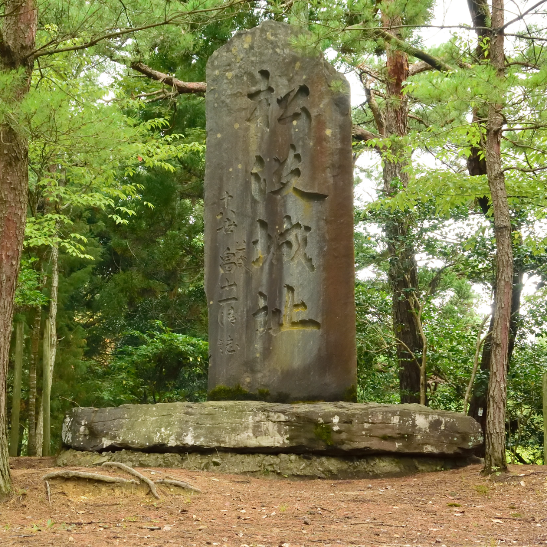 松波城跡（石川県能登町）の写真・外観